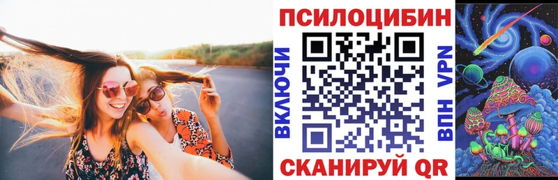 МЕГА   Старый Крым  Псилоцибиновые грибы Psilocybe 